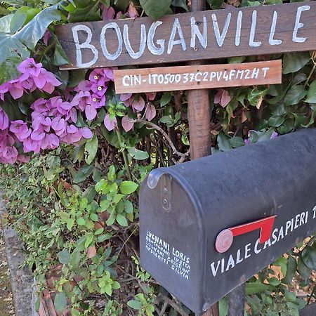Casa Vacanze “Bouganville” Loc Avane Pisa Vecchiano Bagian luar foto