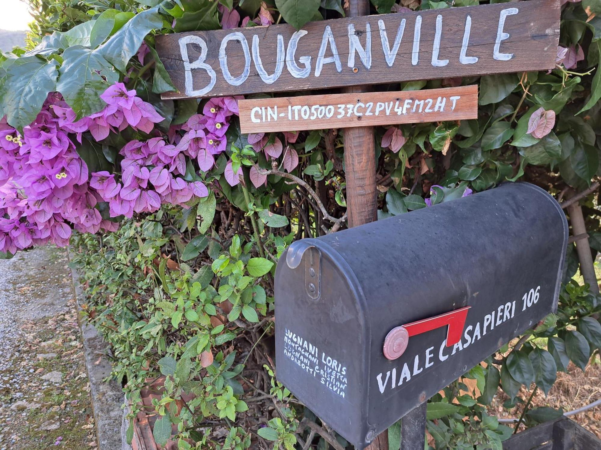 Casa Vacanze “Bouganville” Loc Avane Pisa Vecchiano Bagian luar foto